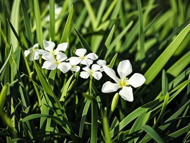 未来的伴侣：姻缘学问能否预测您的另一半？
